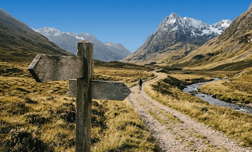 A path leading forward through an open landscape.